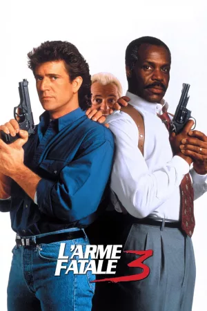 Jaquette : L'Arme fatale 3