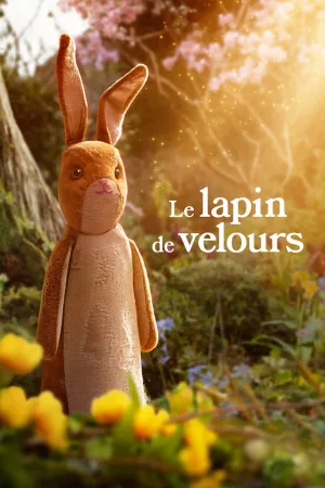 Jaquette : Le lapin de velours