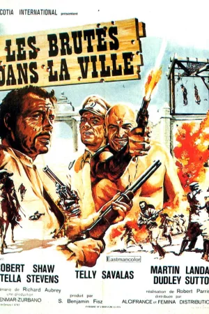 Jaquette : Les Brutes dans la Ville