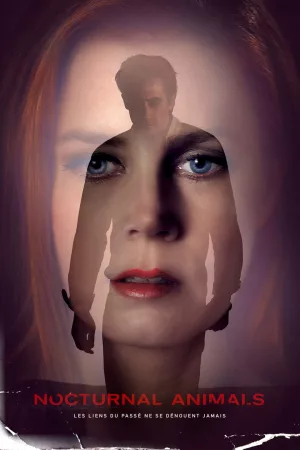 Jaquette : Nocturnal Animals