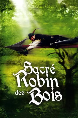 Jaquette : Sacré Robin des bois