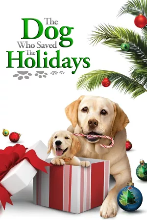 Jaquette : Le Chien qui a sauvé Noël