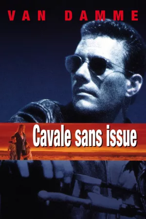 Jaquette : Cavale sans issue