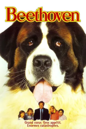 Jaquette : Beethoven