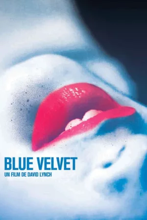 Jaquette : Blue Velvet