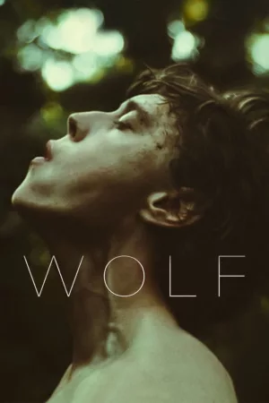 Jaquette : Wolf