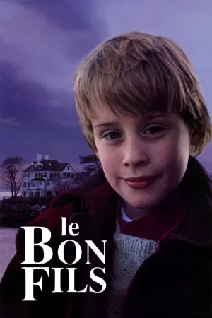 Jaquette : Le Bon Fils