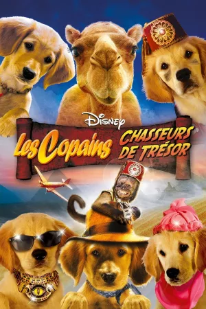 Jaquette : Les copains chasseurs de trésor