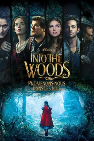 Jaquette : Into the Woods : Promenons-nous dans les bois