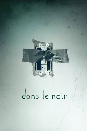 Jaquette : Dans le noir
