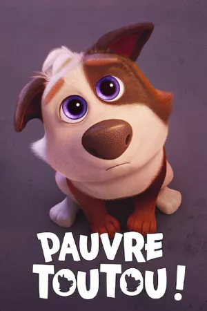 Jaquette : Pauvre Toutou !