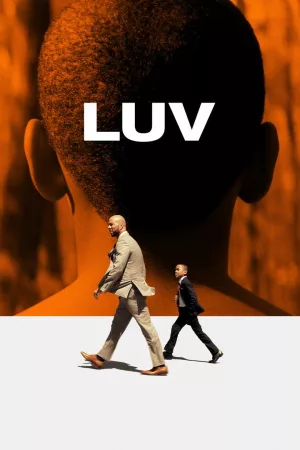 Jaquette : LUV