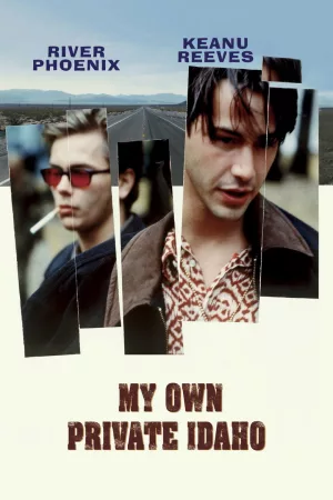 Jaquette : My Own Private Idaho