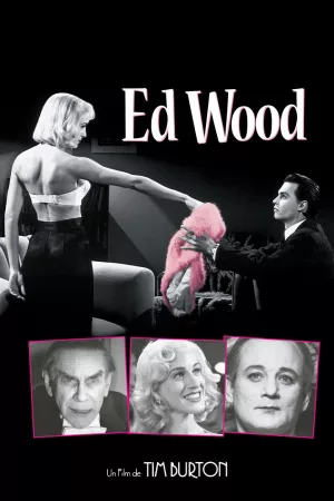 Jaquette : Ed Wood