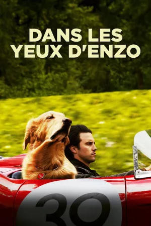 Jaquette : Dans les yeux d'Enzo