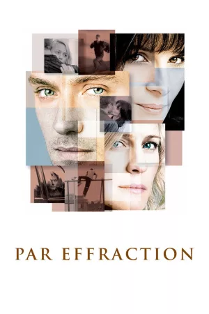 Jaquette : Par effraction