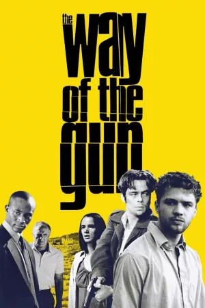 Jaquette : Way of the Gun