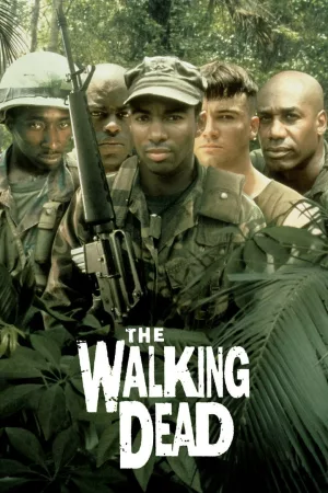 Jaquette : The Walking Dead