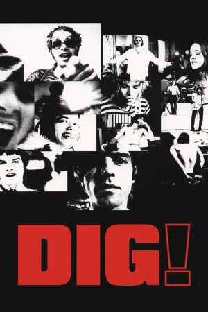 Jaquette : Dig!