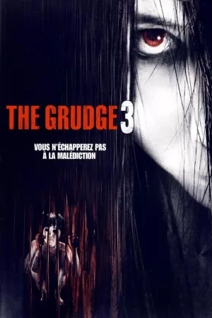 Jaquette : The Grudge 3