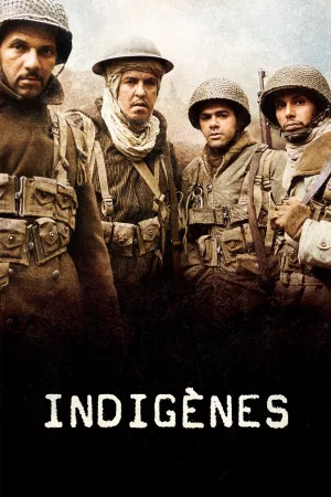 Jaquette : Indigènes