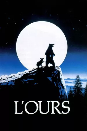 Jaquette : L'Ours