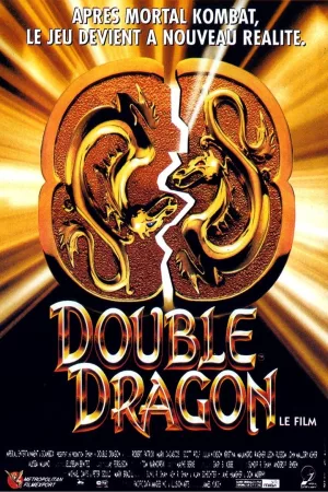 Jaquette : Double Dragon
