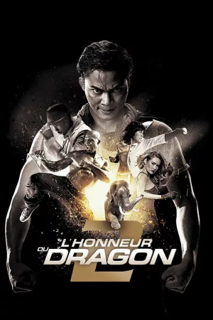 Jaquette : L'Honneur du dragon 2