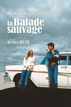 Jaquette : La Balade sauvage