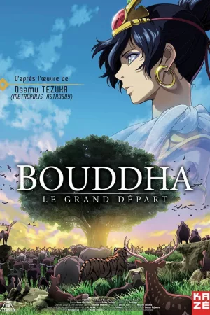 Jaquette : Bouddha : Le Grand Départ