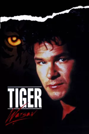 Jaquette : Tiger Warsaw
