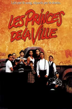 Jaquette : Les Princes de la ville