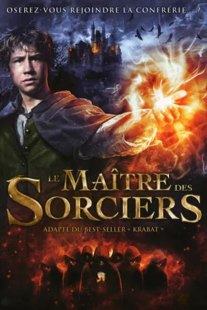 Jaquette : Le Maître des Sorciers