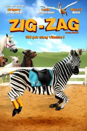 Jaquette : ZIG-ZAG