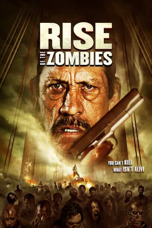 Jaquette : Rise of the Zombies