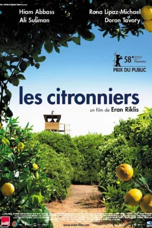 Jaquette : Les citronniers