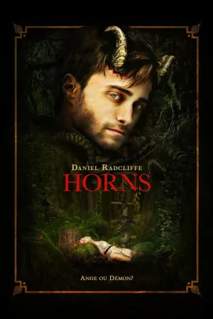 Jaquette : Horns