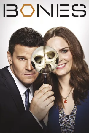 Jaquette : Bones