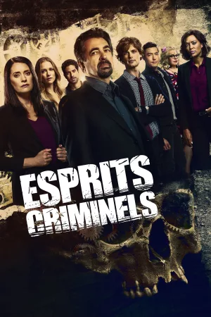 Jaquette : Esprits criminels