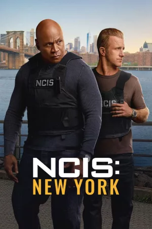 Jaquette : NCIS: New York
