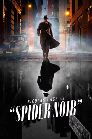 Jaquette : Spider-Noir