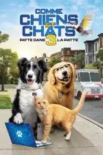 Comme Chiens et Chats 3 : Patte dans la Patte en streaming