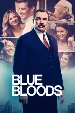 Blue Bloods en streaming