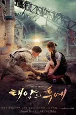 Descendants of the Sun en streaming