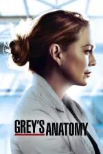 Grey's Anatomy en streaming