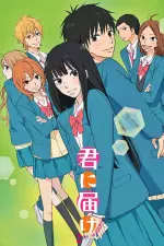 Kimi ni Todoke en streaming