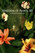 Kingdom of Plants en streaming