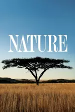 Nature en streaming