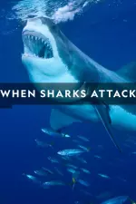 When Sharks Attack en streaming