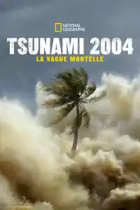 Affiche de la série Tsunami 2004 : La Vague Mortelle